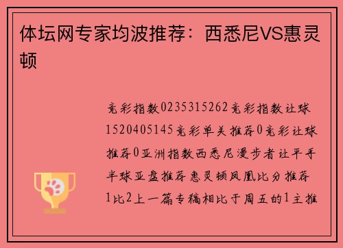 体坛网专家均波推荐：西悉尼VS惠灵顿